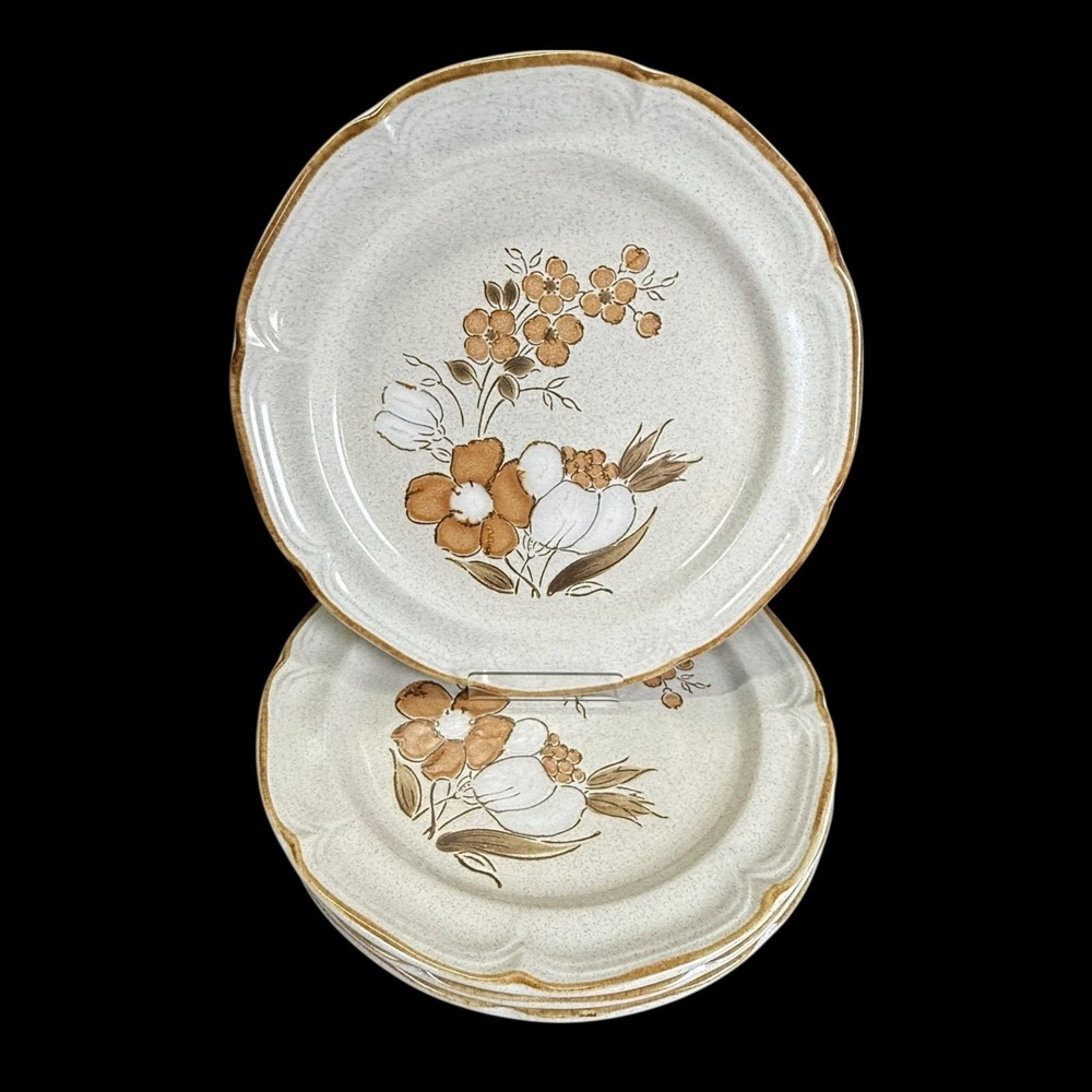 Baroque Autumn Fair Hearthside Stoneware 10.5" Dinner Plates Japan Lot‎ Of 4